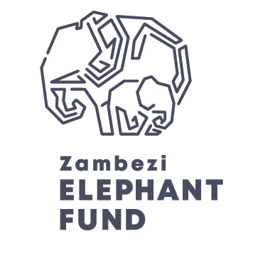 ELEPHANT ENCOUNTERS – WIN A LUXURY SAFARI! - logo